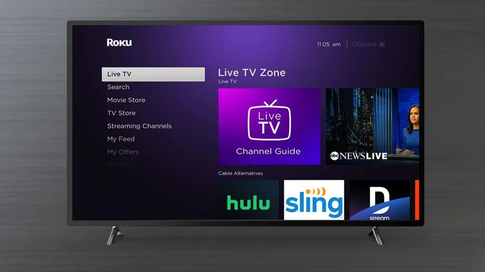 Can You Block Ads on Roku TV